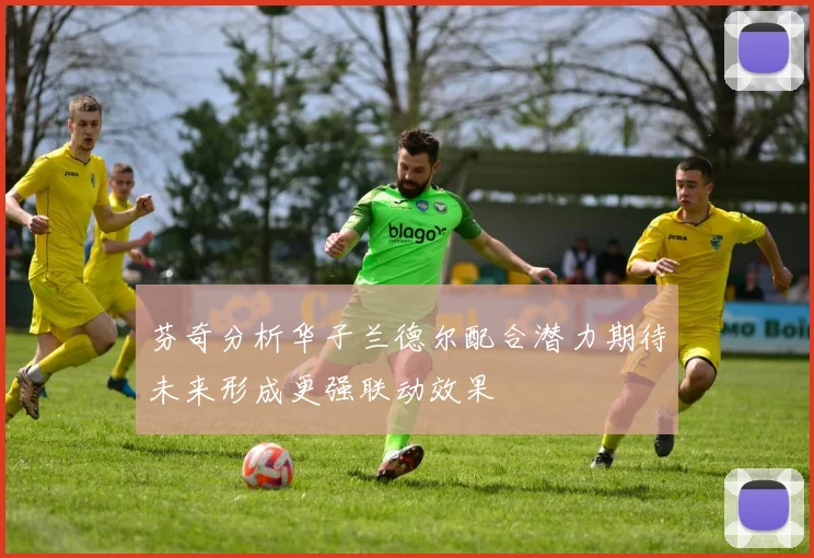 芬奇分析华子兰德尔配合潜力期待未来形成更强联动效果
